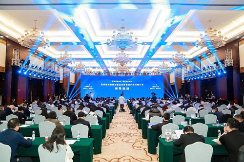 盤活存量資產(chǎn)，融通全國市場——貴州省國資委監(jiān)管企業(yè)資產(chǎn)推介會在貴陽舉行